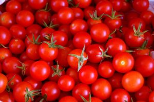 Tomates-cherry-dia-3