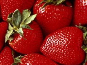 fresas