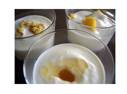 yogur_thermomix