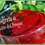 Sorbete-de-frutas-del-bosque