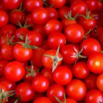 Tomates-cherry-dia-3