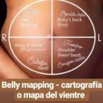 belly-mapping