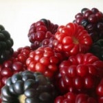 moras
