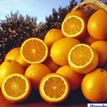 naranjas