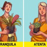 plantas