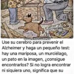 test alzheimer