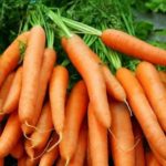 zanahoria-beneficios